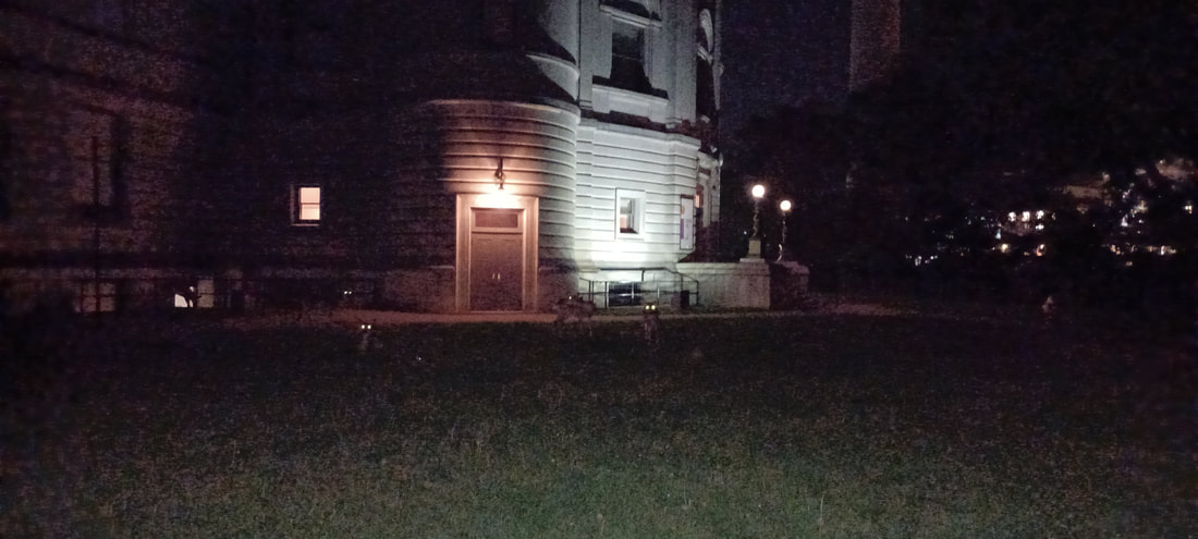May Pics Part 1 2023 - Church of Ben Klassen
